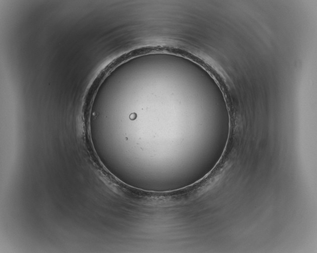 X0000111940927200908031135