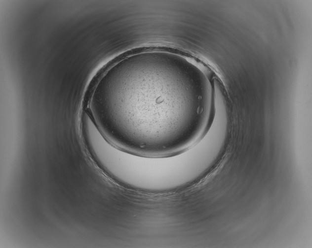 X0000111940928200908031135