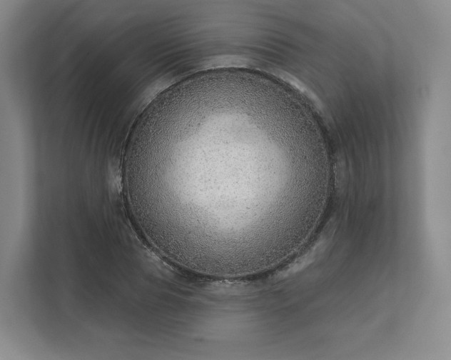 X0000111940929200908031135