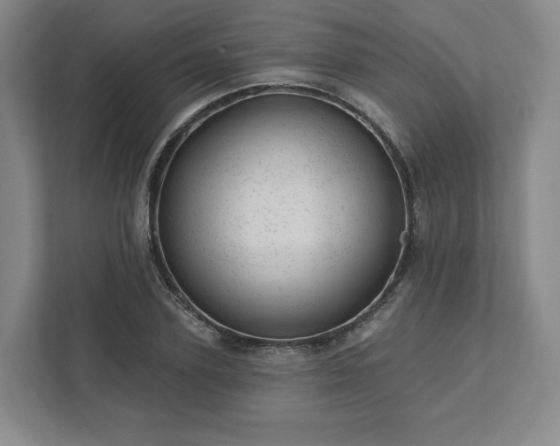 X0000111940931200908031135