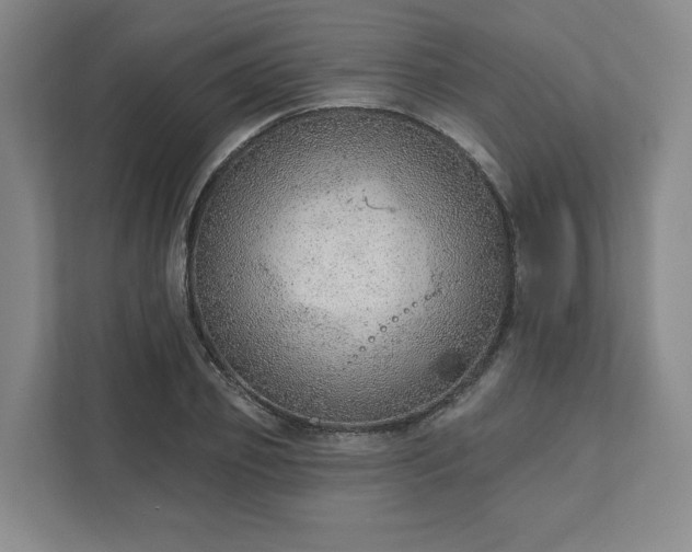 X0000111940933200908031135