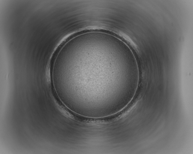 X0000111940934200908031135