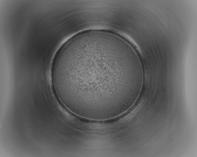 X0000111940935200908031135