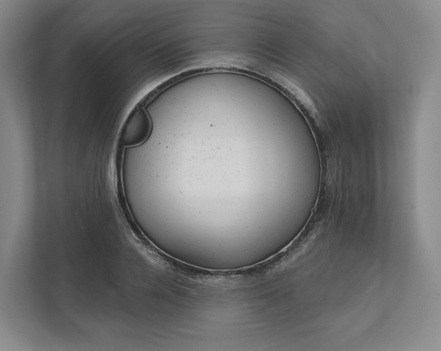 X0000111940936200908031135