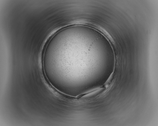 X0000111940939200908031135