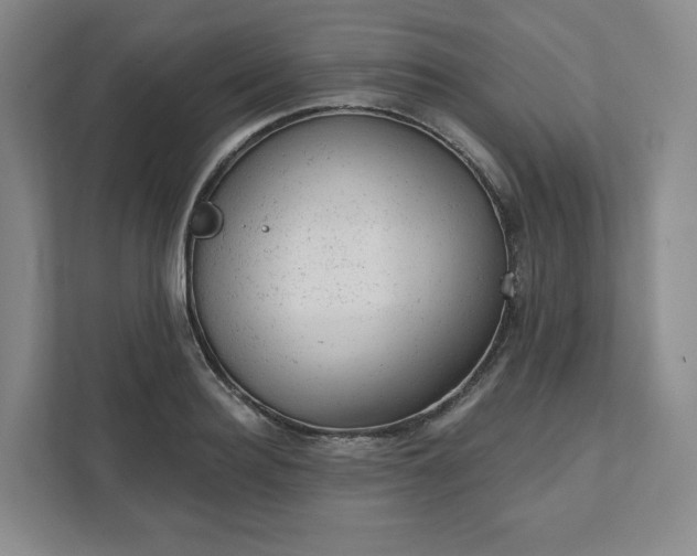 X0000111940940200908031135