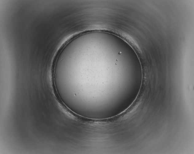 X0000111940942200908031135