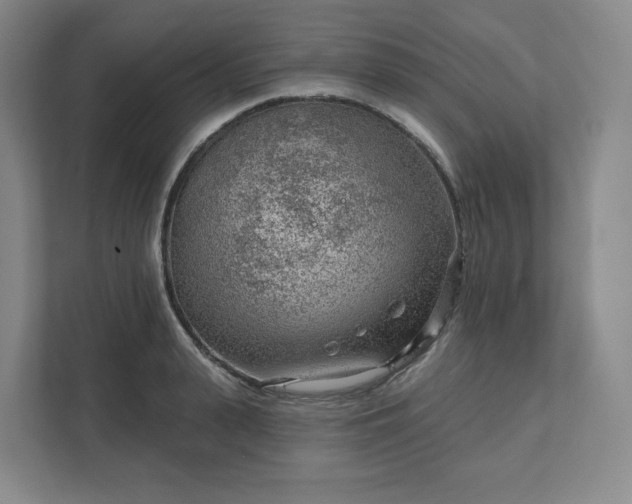 X0000111940943200908031135