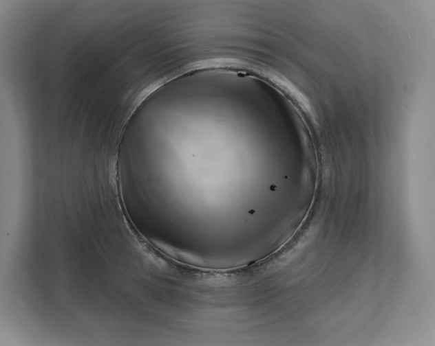 X0000111940945200908031135