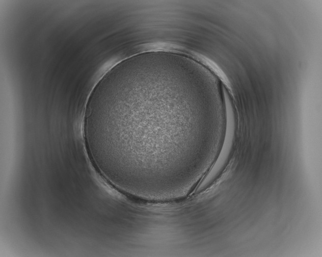 X0000111940946200908031135