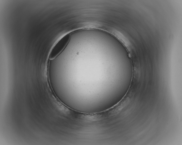 X0000111940948200908031135