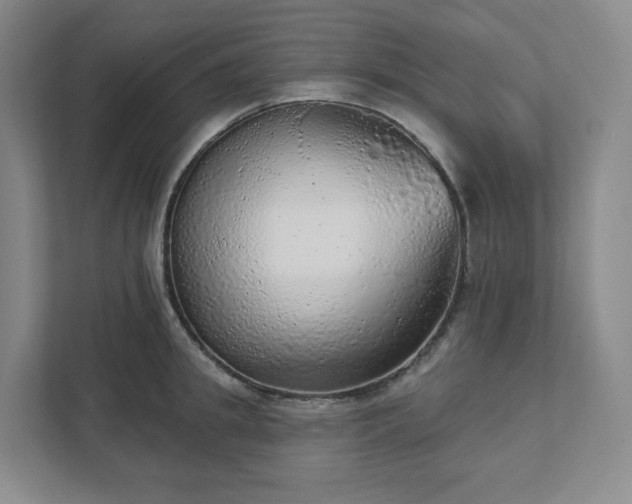 X0000111940949200908031135