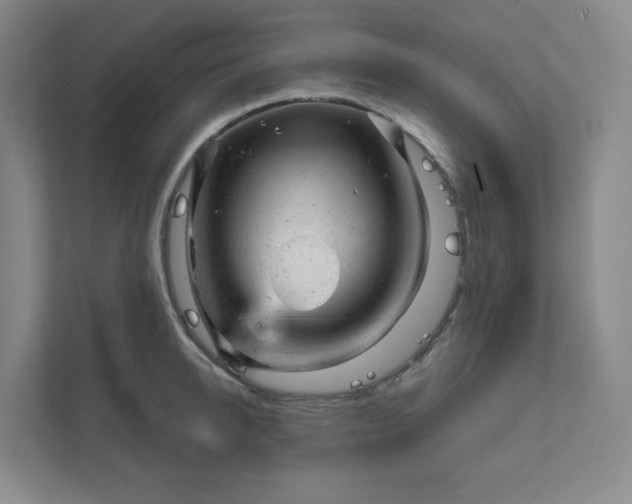 X0000111940950200908031135