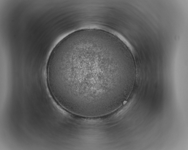 X0000111940951200908031135