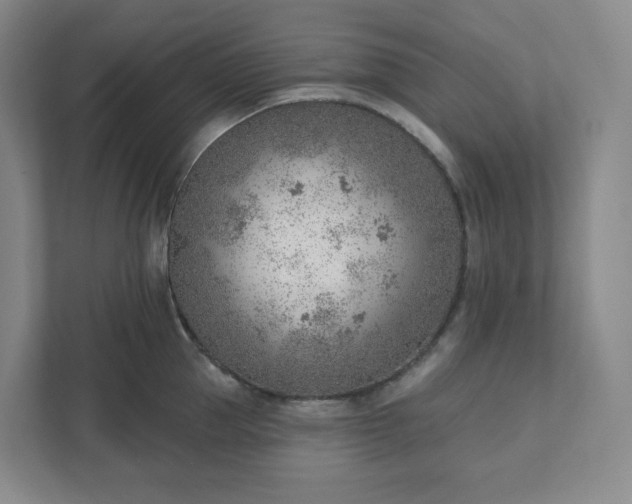 X0000111940953200908031135