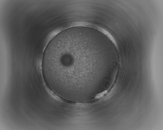 X0000111940954200908031135