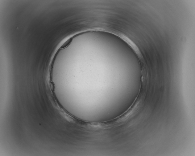 X0000111940956200908031135