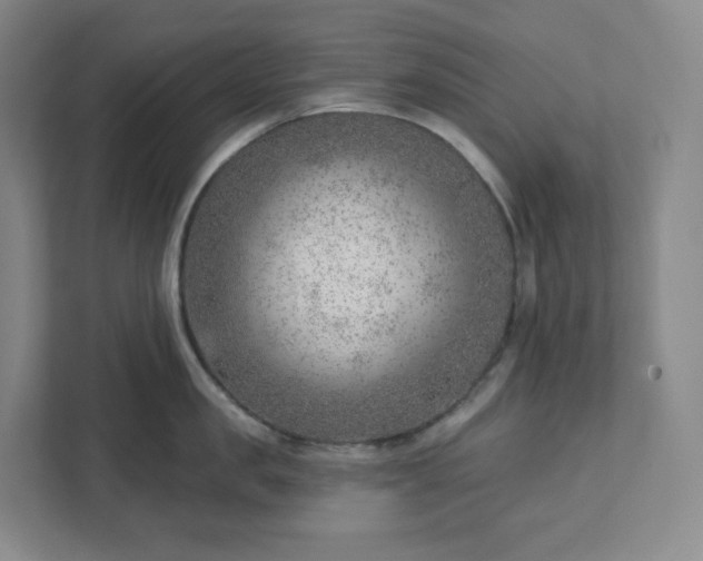 X0000111940957200908031135