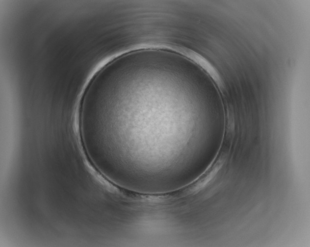 X0000111940958200908031135