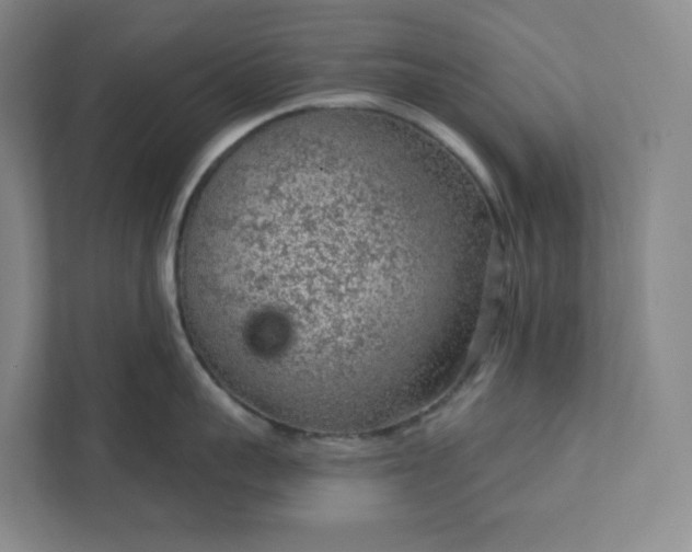 X0000111940959200908031135