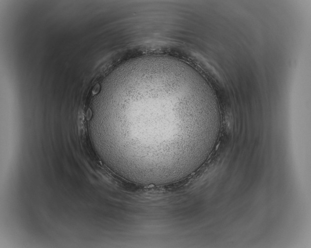 X0000111940964200908031135