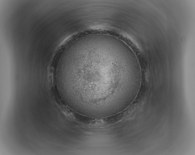 X0000111940968200908031135