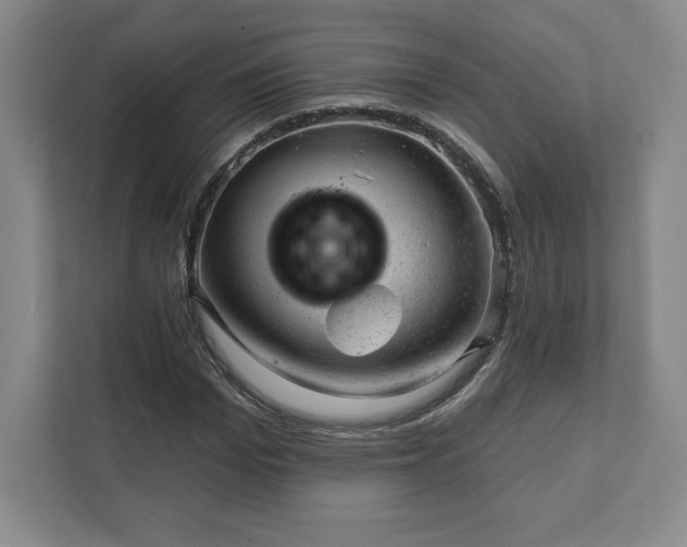 X0000111940969200908031135