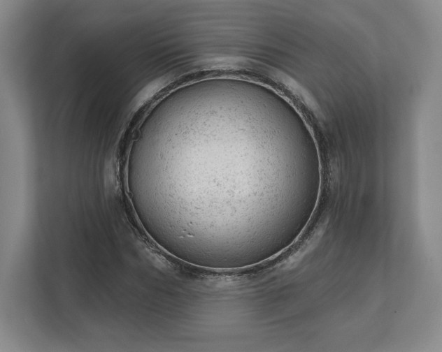 X0000111940970200908031135