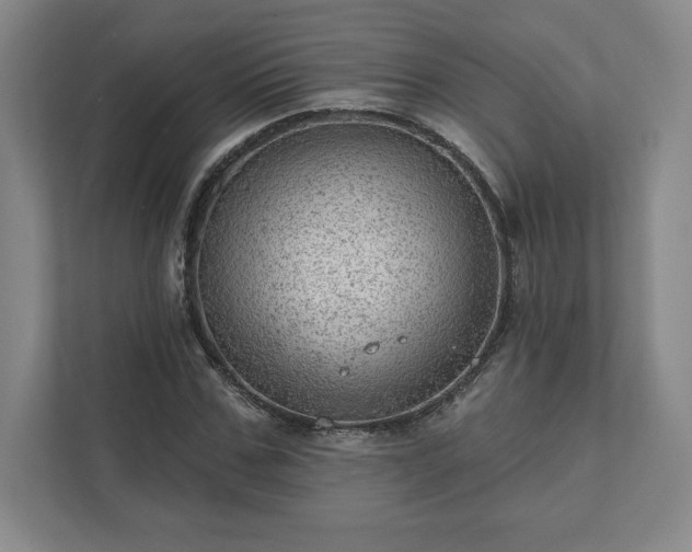 X0000111940971200908031135