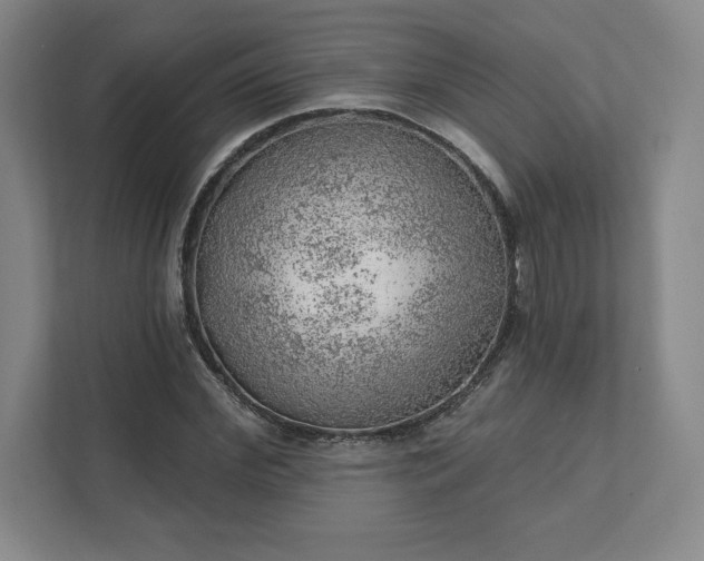 X0000111940972200908031135