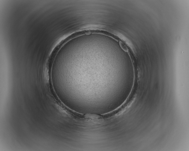 X0000111940973200908031135