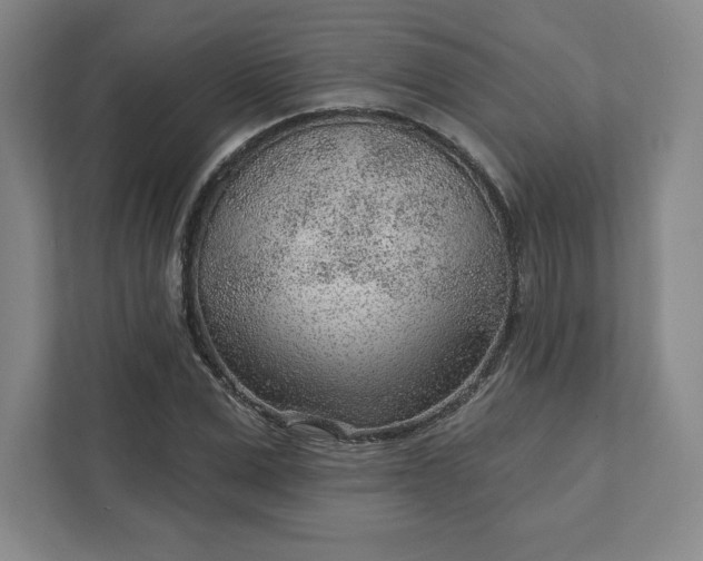 X0000111940975200908031135