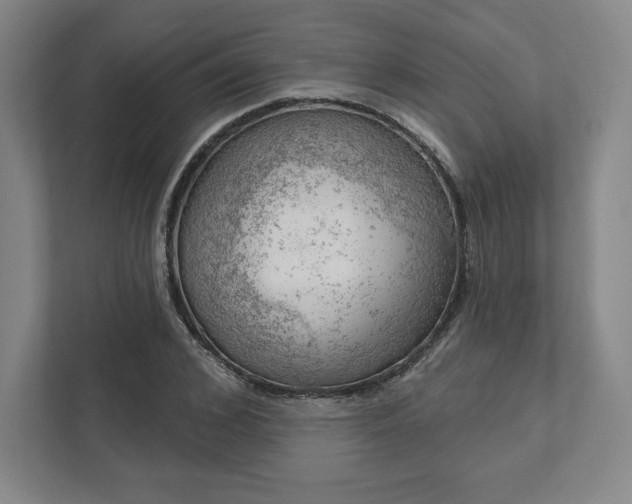 X0000111940976200908031135