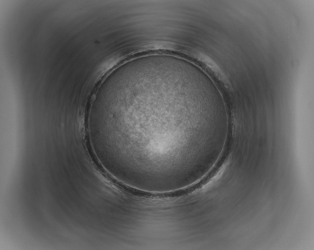 X0000111940977200908031135