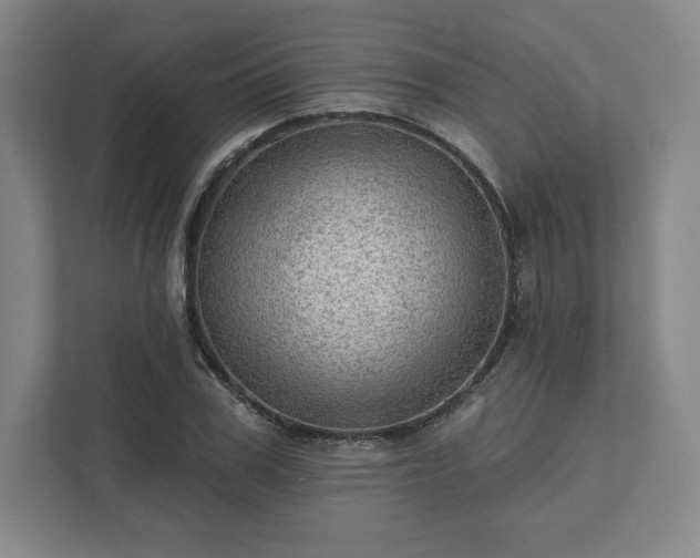 X0000111940979200908031134