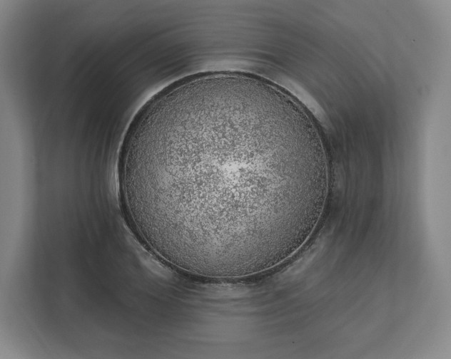 X0000111940980200908031134