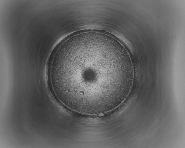 X0000111940983200908031134