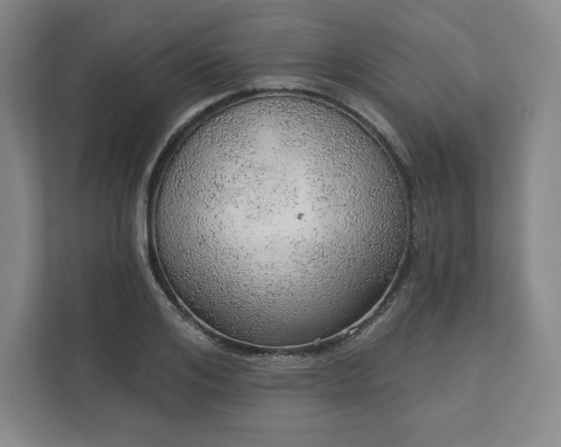 X0000111940984200908031134