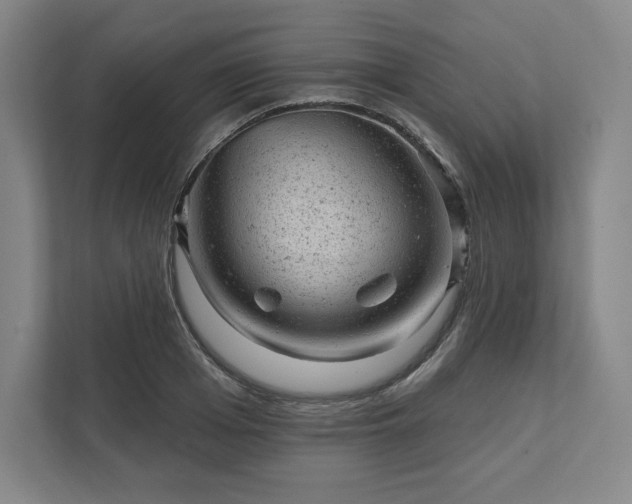 X0000111940985200908031134