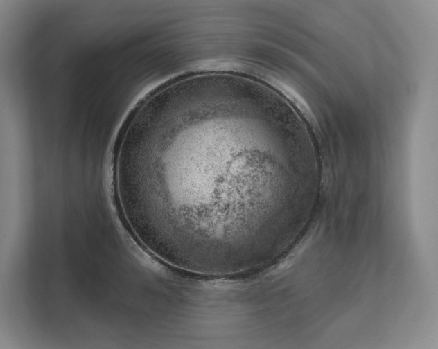 X0000111940992200908031134