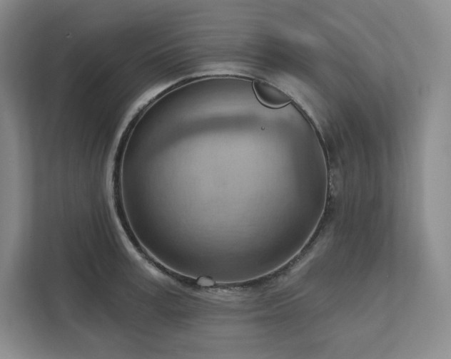 X0000111940995200908031134