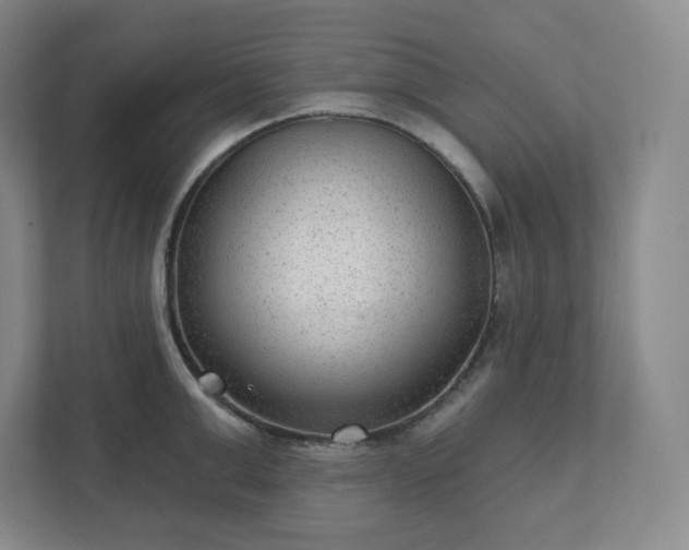 X0000111940999200908031134