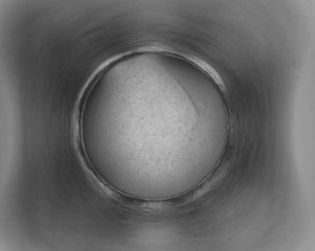 X0000111941000200908031134