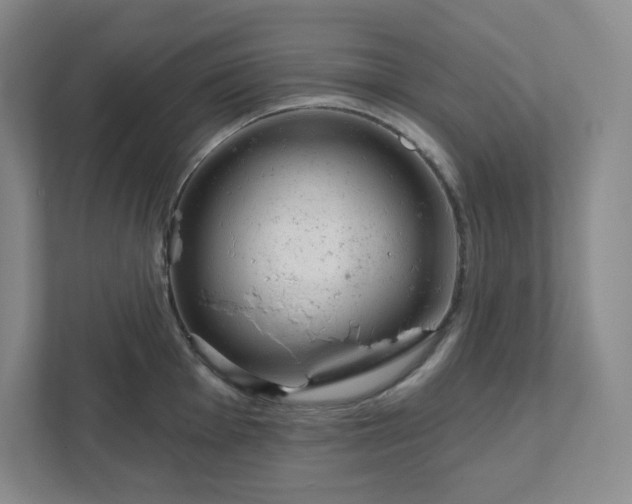 X0000111941001200908031134