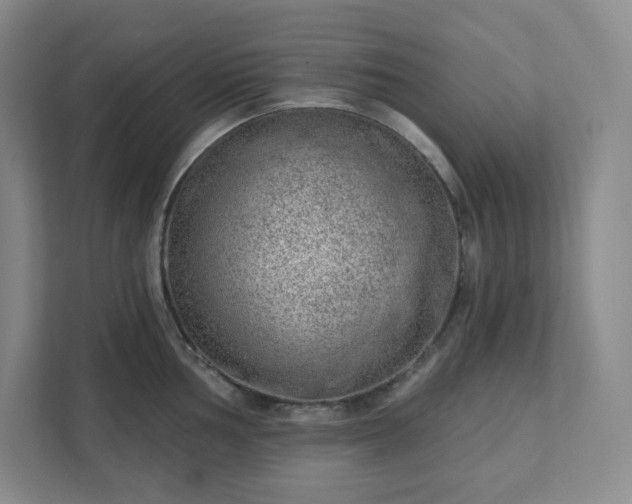 X0000111941002200908031134