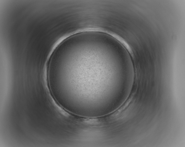 X0000111941006200908031134