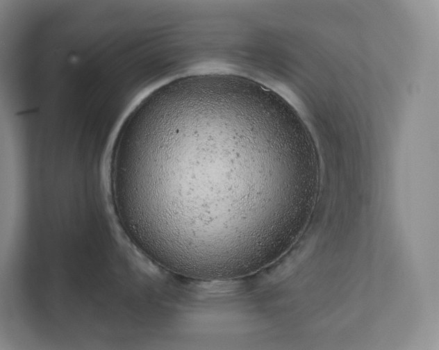 X0000111941008200908031134