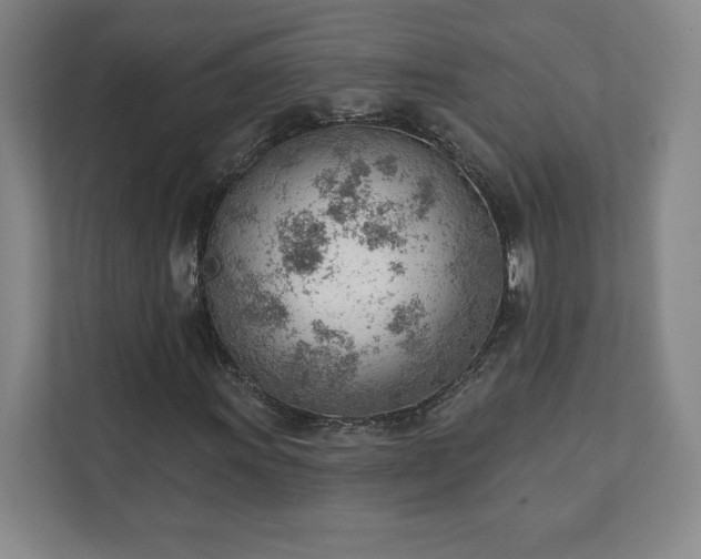 X0000111941011200908031134