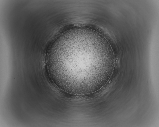 X0000111941012200908031134