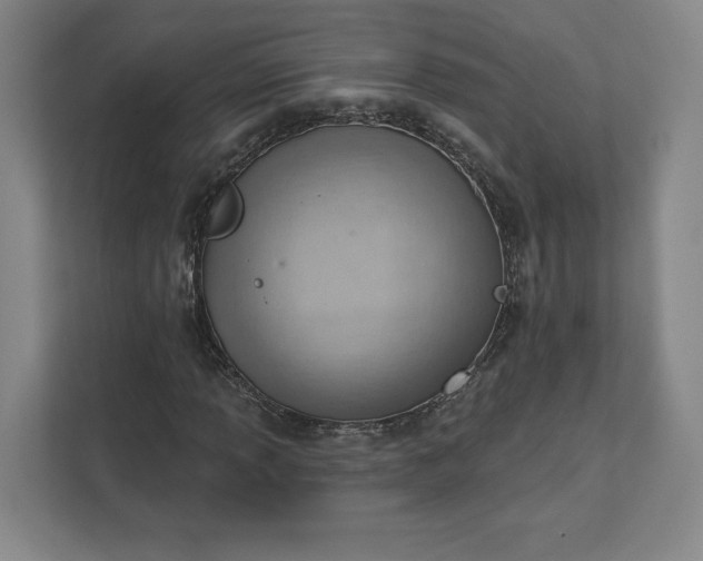 X0000111941013200908031134